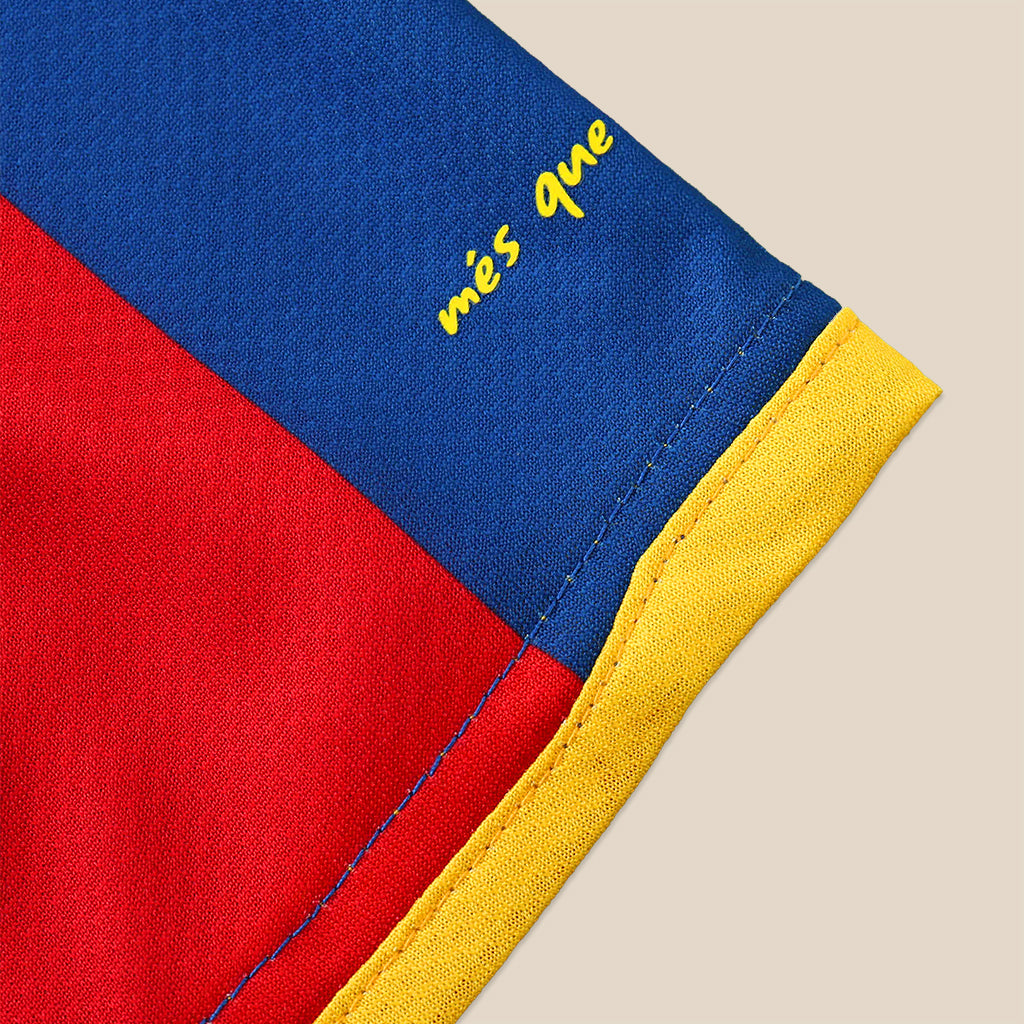 FC Barcelona 2010/11 Home