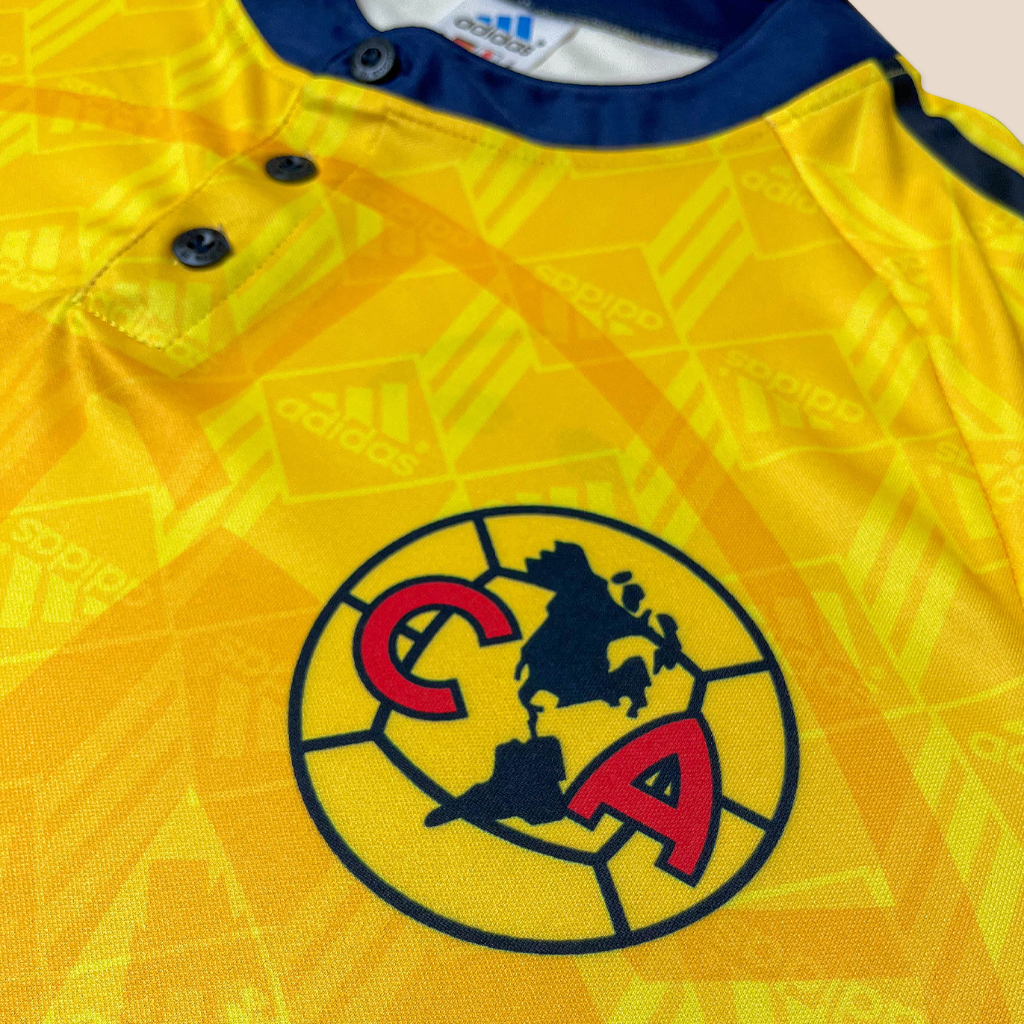 America 1998/99 Home