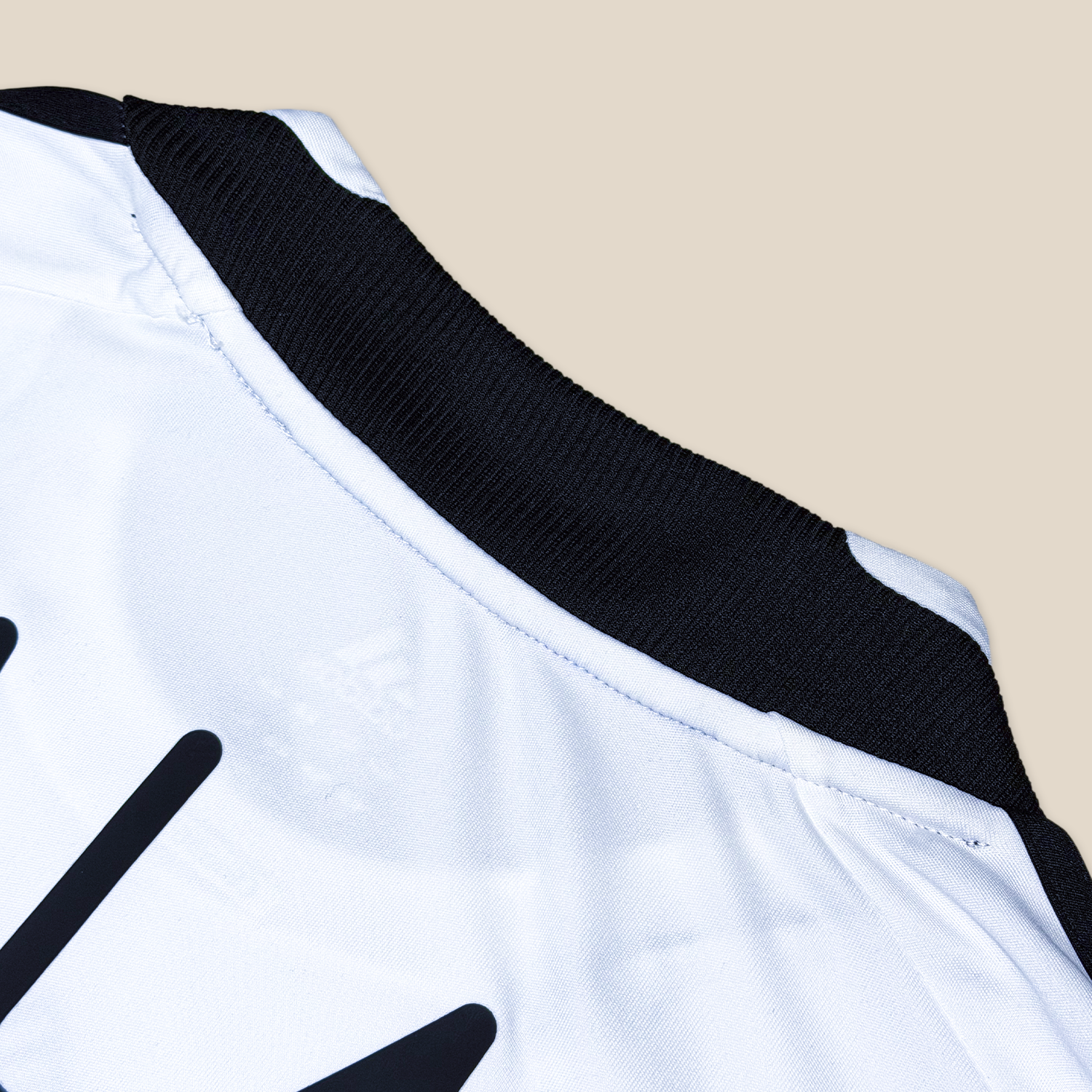 Germany 2008 Home