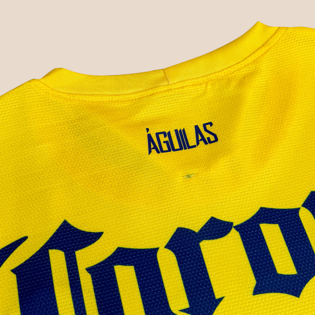 America 2012/13 Home