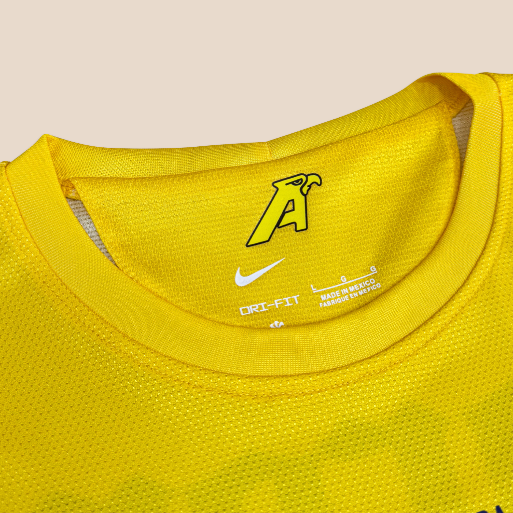 America 2012/13 Home