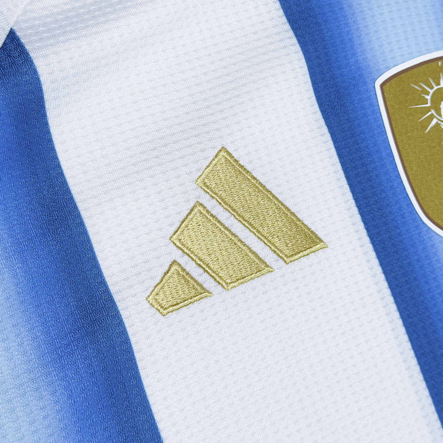 Argentina World Cup 2026 Home