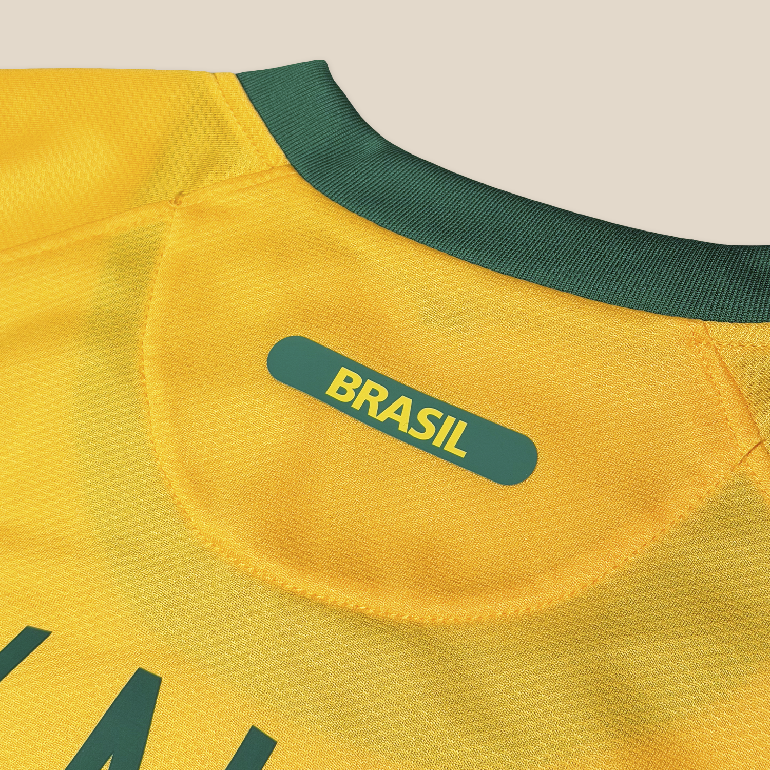 Brazil 2010 Home