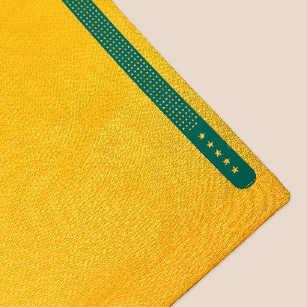 Brazil 2010 Home