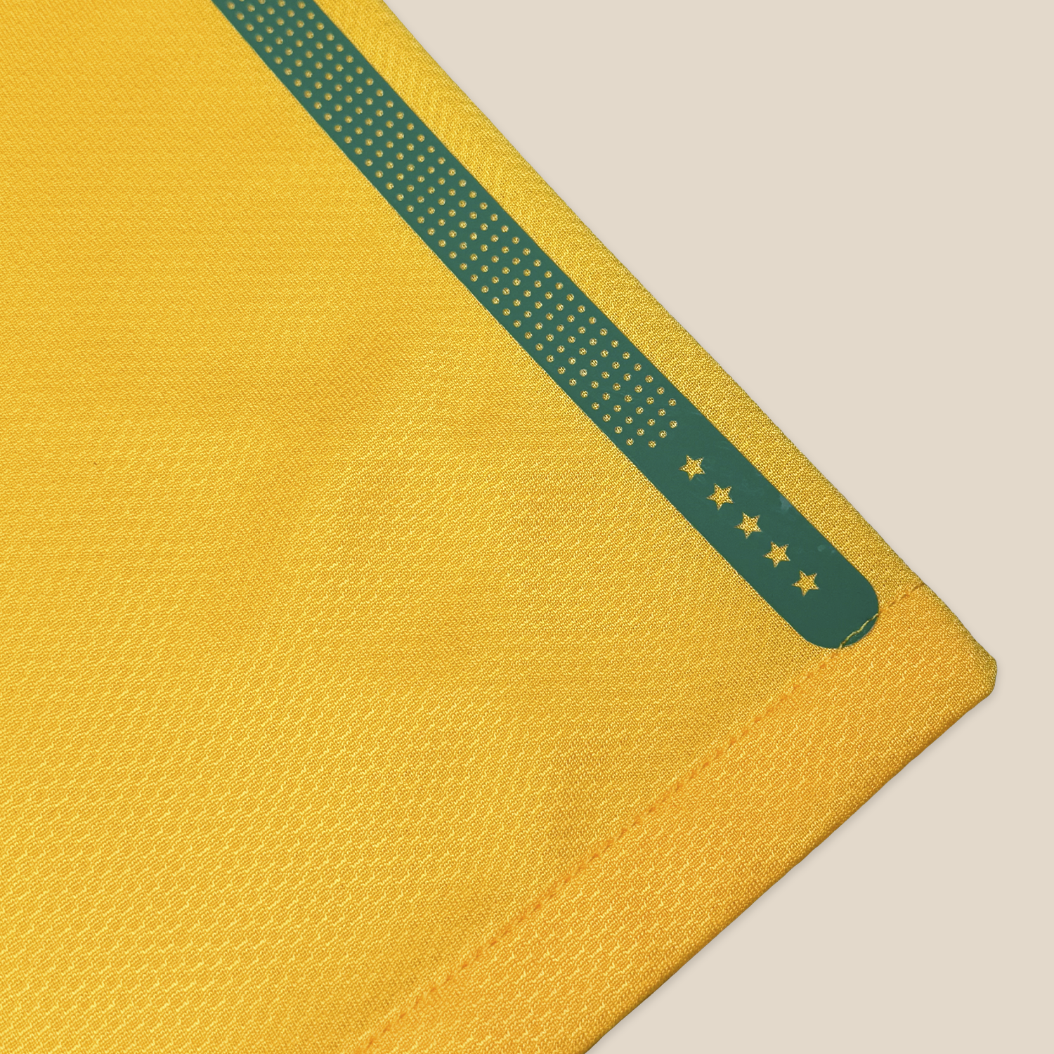 Brazil 2010 Home