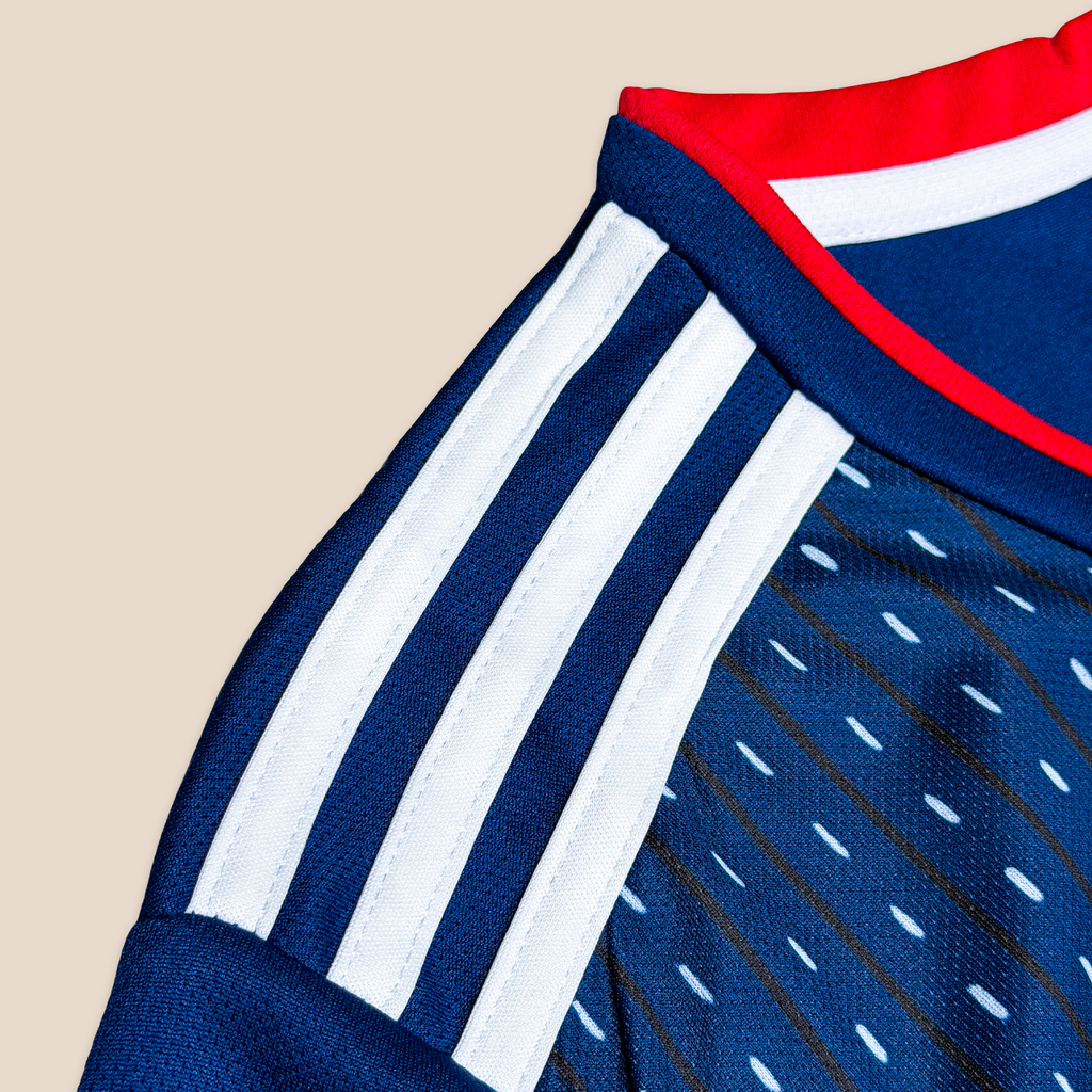 Japan 2018 Home