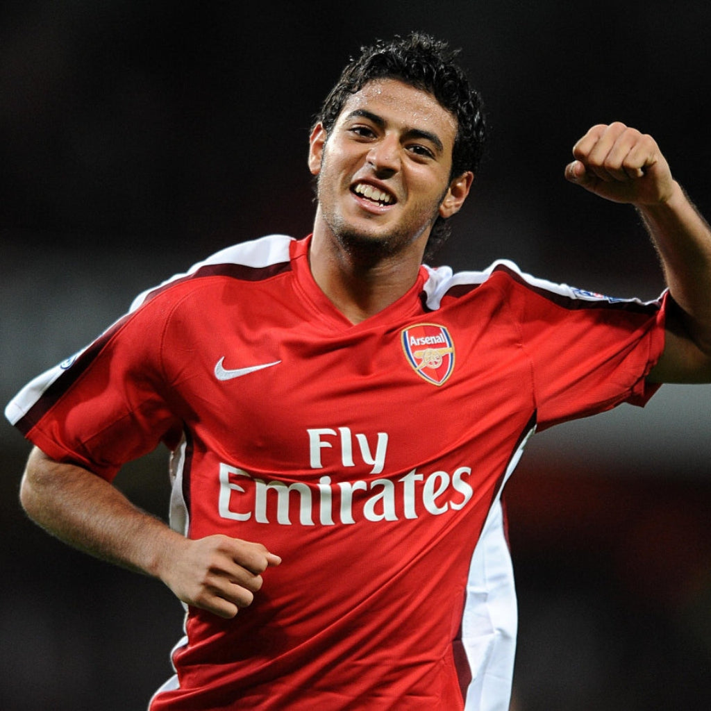 Arsenal 2008/09 Home