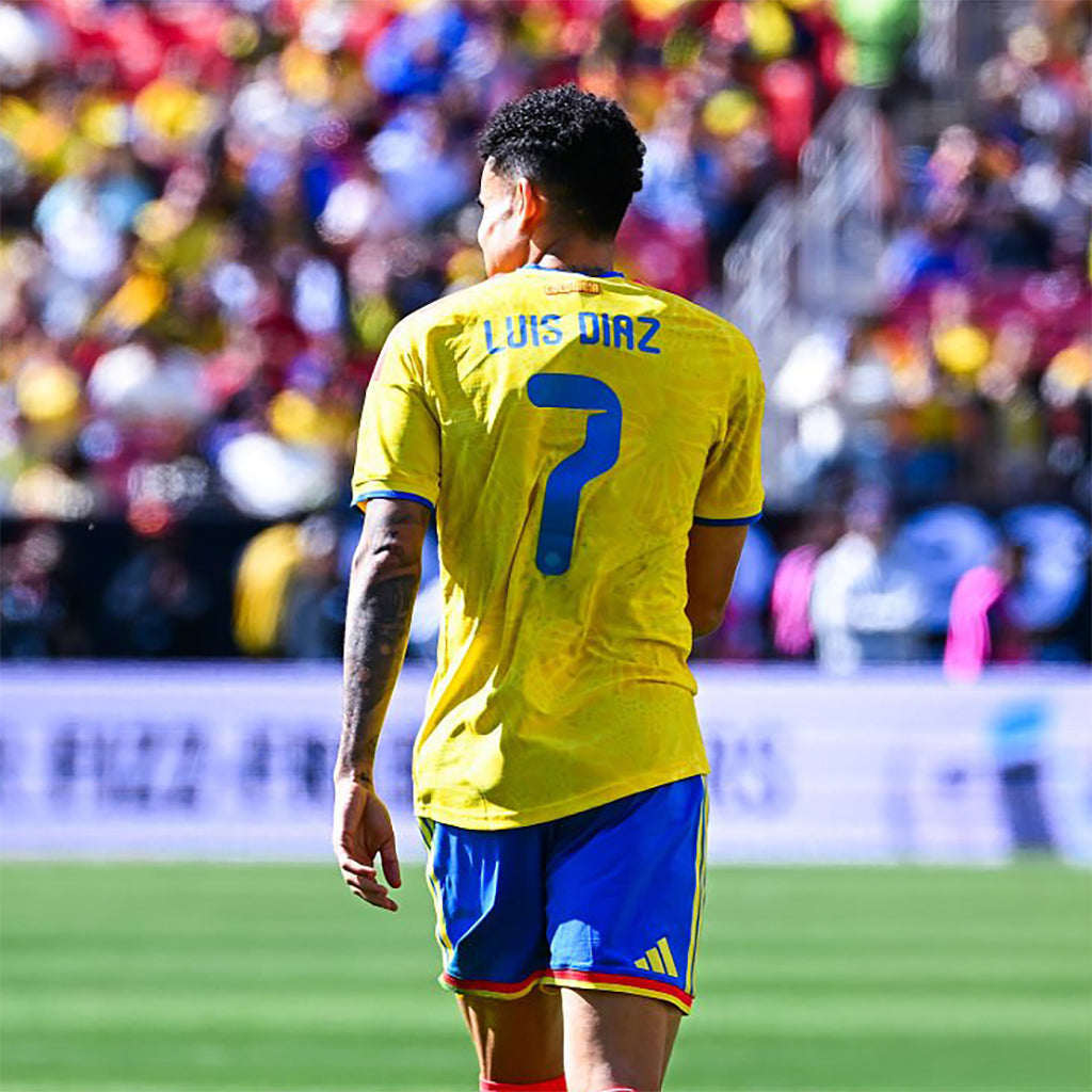 Colombia 2026 Home Player